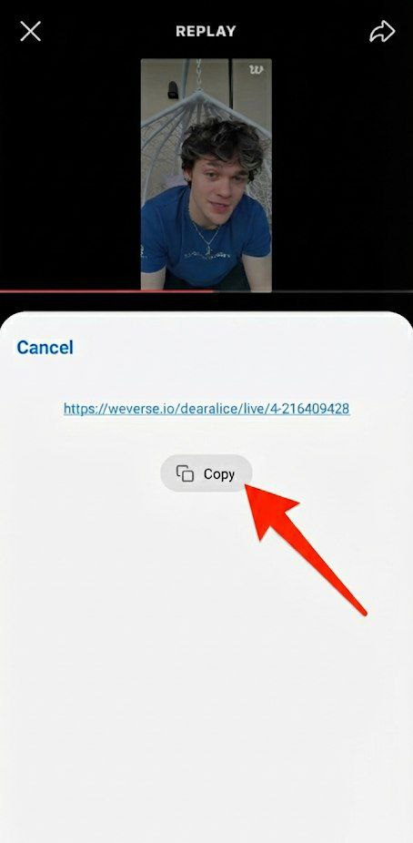 Step 2: Copy the Link from the share menu